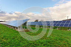 Solar Panels on a Livestock Farm