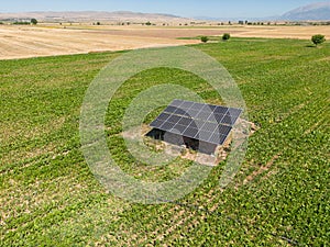 Solar panels in the middle of a field of fresh crops for the summer. Photovoltaic energy, alternative and sustainable energy