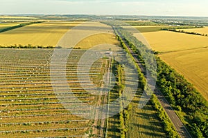 Solar panels outdoors, aerial view. Alternative energy source