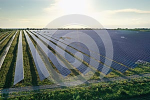 Solar panels outdoors, aerial view. Alternative energy source