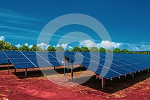 Solar panels, photovoltaics, alternative energy source, standing on the red ground with bright blue sky and green trees