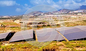 Solar panels at photovoltaics power station farm in Tenerife, Canary Island, Spain.Future innovation energy concept.