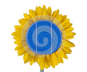 Solar panels for renewable energy with sun flower