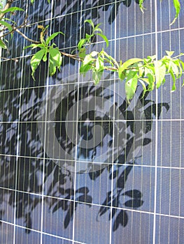 Solar panels for residential use in the garden