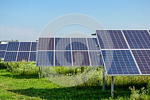 Solar panels rows above green grass under blue sky