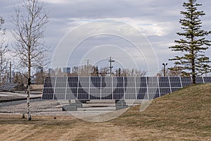 solar panels in a solar farm to generate clean energy