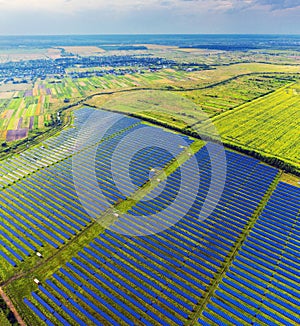 Solar panels and sunflower