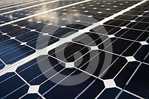 Solar panels texture