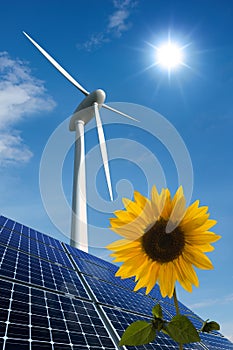 Solar panels, wind turbine and sunflower