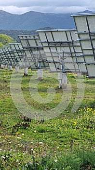 solar panles park on mountais flexible electricity power photo