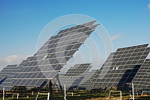 Solar plant photo