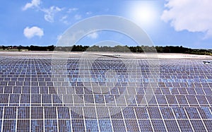 Solar plant