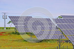 Solar plant on field