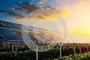 Solar power panels and natural landscape in sunny summer