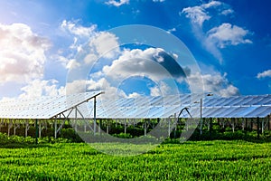 Solar power panels and natural landscape in sunny summer