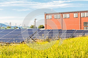 Solar power panels ,Photovoltaic modules for innovation green e