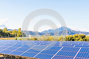 Solar power panels ,Photovoltaic modules for innovation green en
