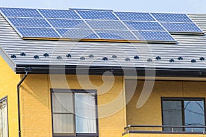 Solar power panels ,Photovoltaic modules for innovation green en