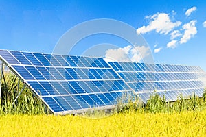 Solar power panels ,Photovoltaic modules for innovation green energy for life .