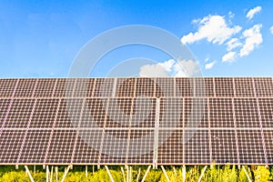 Solar power panels ,Photovoltaic modules for innovation green energy for life with blue sky background.