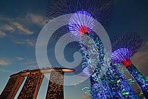 Solar powered (alternative energy sources) Supertree Tree Grove & Green features packed Marina Bay Sands Hotel during