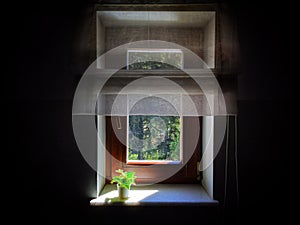 Solar protection at a kitchen window