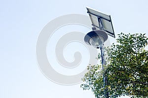Solar street lamps photo