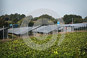 Solar system panels in the large photovoltaic power plant in the green field