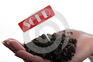 Sold soil in hand