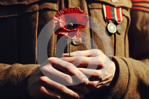 Soldier hands holding one wild red poppy flower. Remembrance Day, Armistice Day, Anzac day symbol