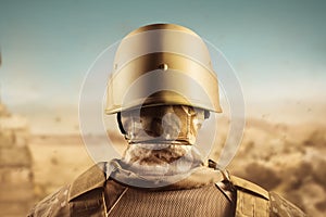 Soldier in helmet back view