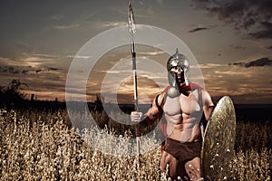 Soldier like spartan in helmet holding rounded shield.