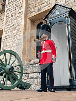 Soldier of the Royal Guard of London