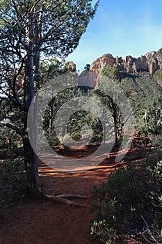 Soldier\'s Pass Trail through the Cococino National Forest with the red sandstone mountains of Sedona