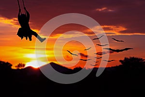 Soldier silhouette parachute with a bat Vampire flying red sky on sunset in forest the Halloween night Concept with copy space add