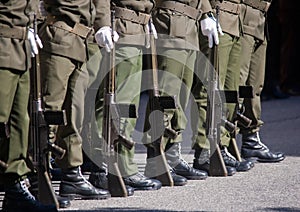 Soldiers in army Parade