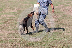 Soldiers from the K-9 dog unit