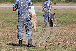 Soldiers from the K-9 dog unit