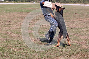 Soldiers from the K-9 dog unit