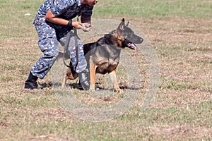 Soldiers from the K-9 dog unit