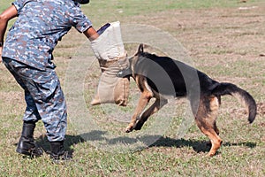 Soldiers from the K-9 dog unit