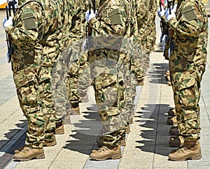 Soldiers standing in a row at the military parade