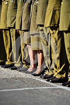 Soldiers in uniforms standing in formation during military ceremony