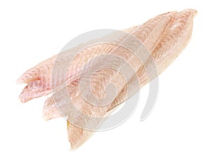 Sole Fillet - Flatfish on Withe photo