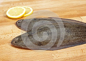 Sole Fish, solea solea, Fresh Fish with Lemon photo
