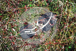 Sole of hiking boots in trail in forest