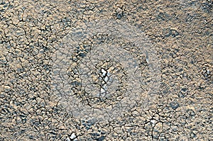 Sole imprint on the cracked dry ground near salt lake Elton, Astrakhan region, Russia