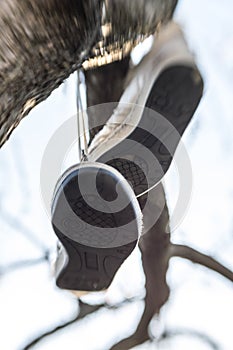 Sole of the old sneakers hanging from the laces in the spring garden