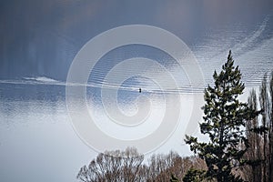 Sole rower on a calm lake