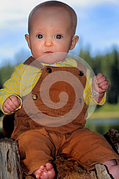 Solemn Baby on Stump